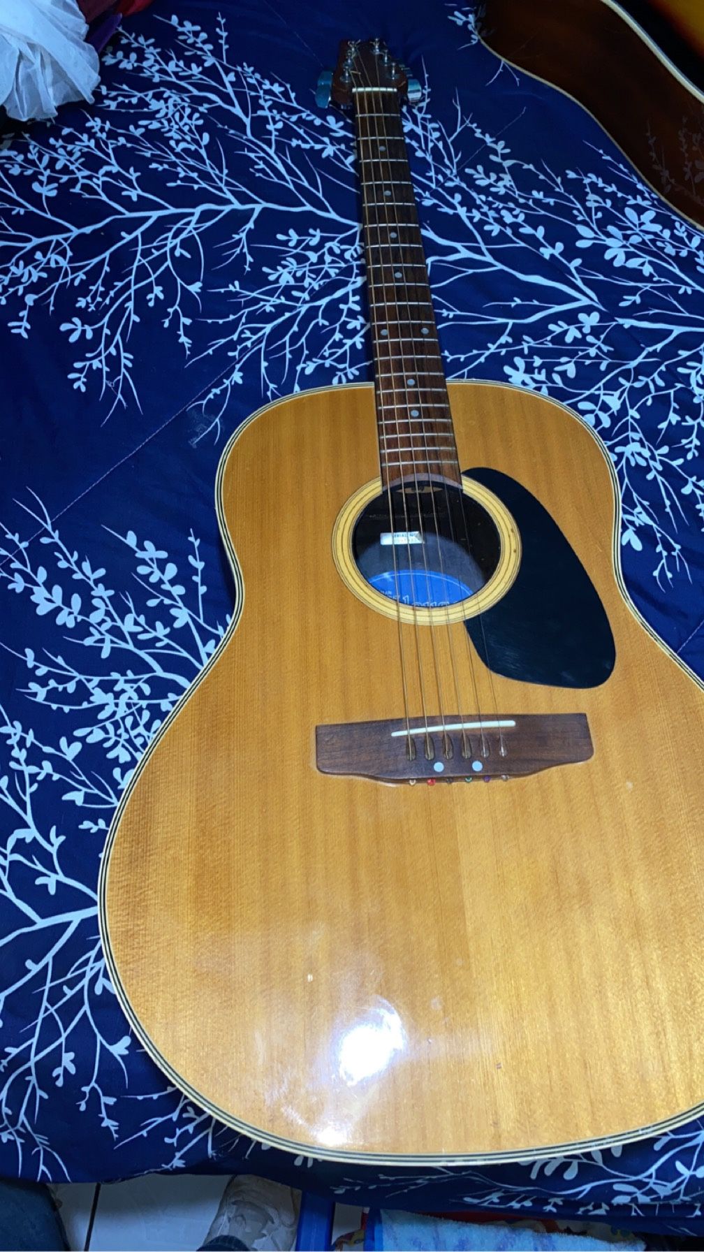 Acoustic Guitar