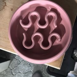 dog bowl