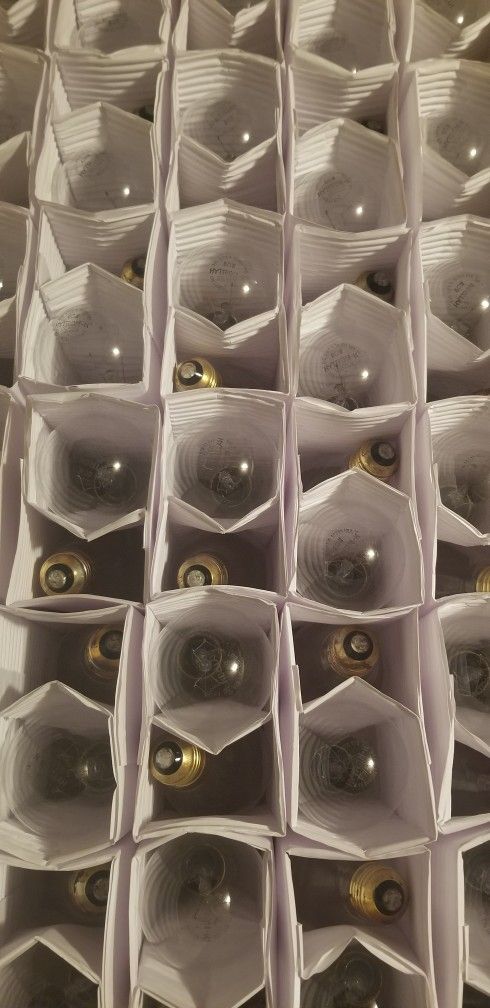 Hytron 60w Brass Base Clear light bulbs