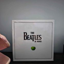 The Beatles In Mono Box Set