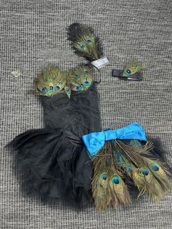Exotic Peacock Woman’s Costume