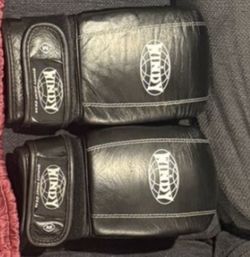Muay Thai/Boxing Gloves