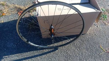 Alex Rims DH19 Double-Walled Rear Wheel
