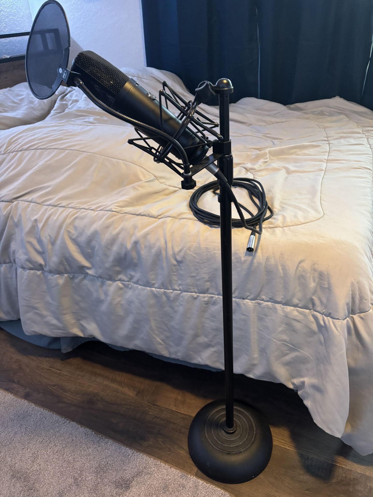 Microphone