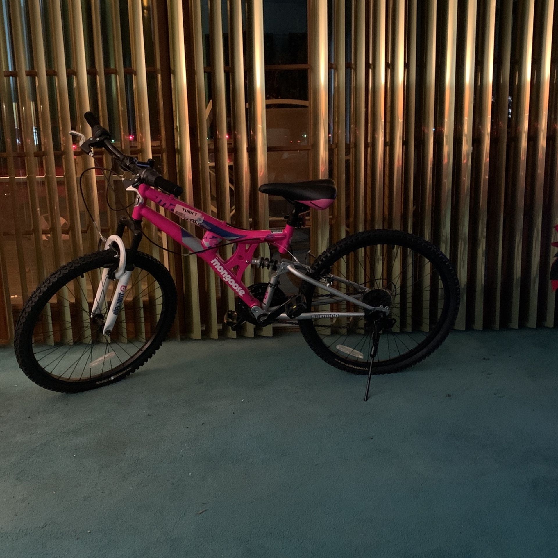 Mongoose Mountain Bike