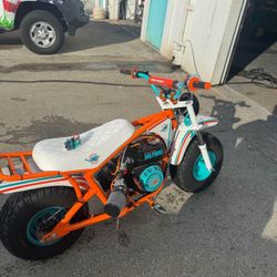 Custom Miami Dolphins Mini Bike