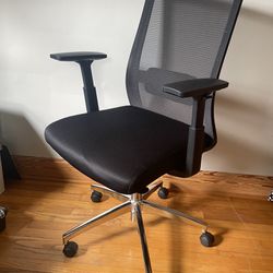 Office Chair Adjustable Arms, Lumbar Support 