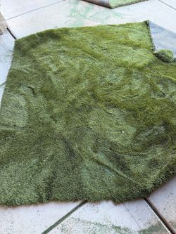 Two turf pieces- free