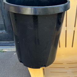 Black Plans Containers 