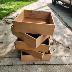 Wood Box Shells $10 Each