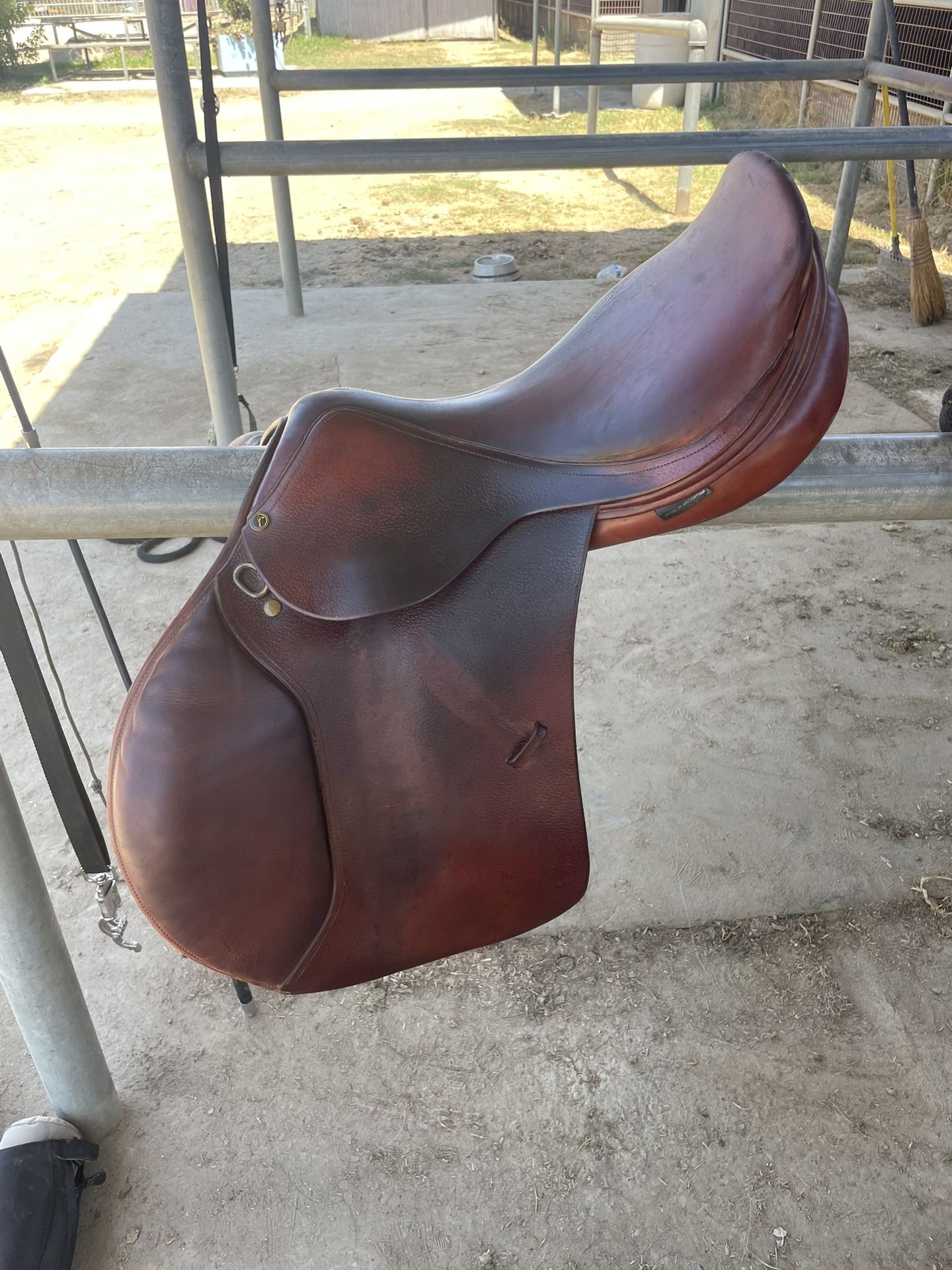 17” Dominus Saddle