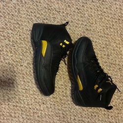 Jordan 12s For Sale Size 10 100$