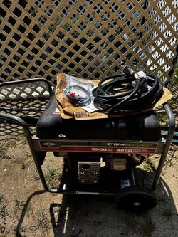 Briggs &Statton generator