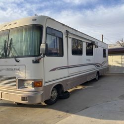 Dutch star Rv