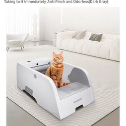 Self Cleaning Litter Box 