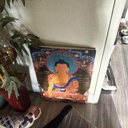 Buddha coffee table book