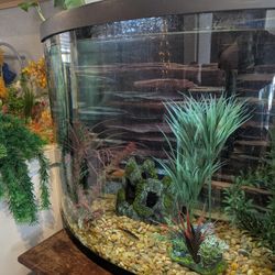 Fish Tank with Tons Of Accessories 