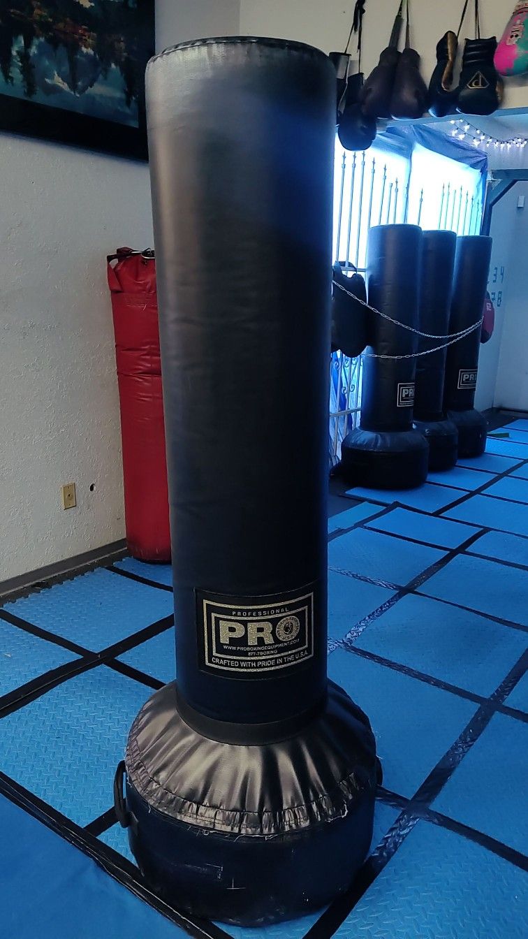 Punching Bag 