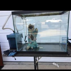 60 Gallon Glass Fish Tank, Aquarium.  