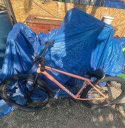 Peach bomma 27.5