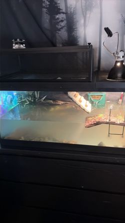 Turtle tank ,more