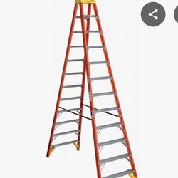 Werner  16ft Work Ladder