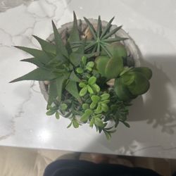 Faux Plant