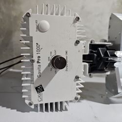 1000 Watt Hps Grow Light