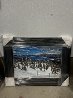 Framed Painting