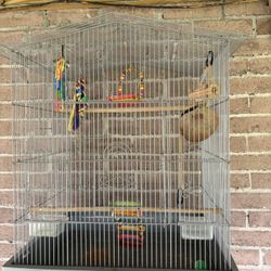 Bird Cage