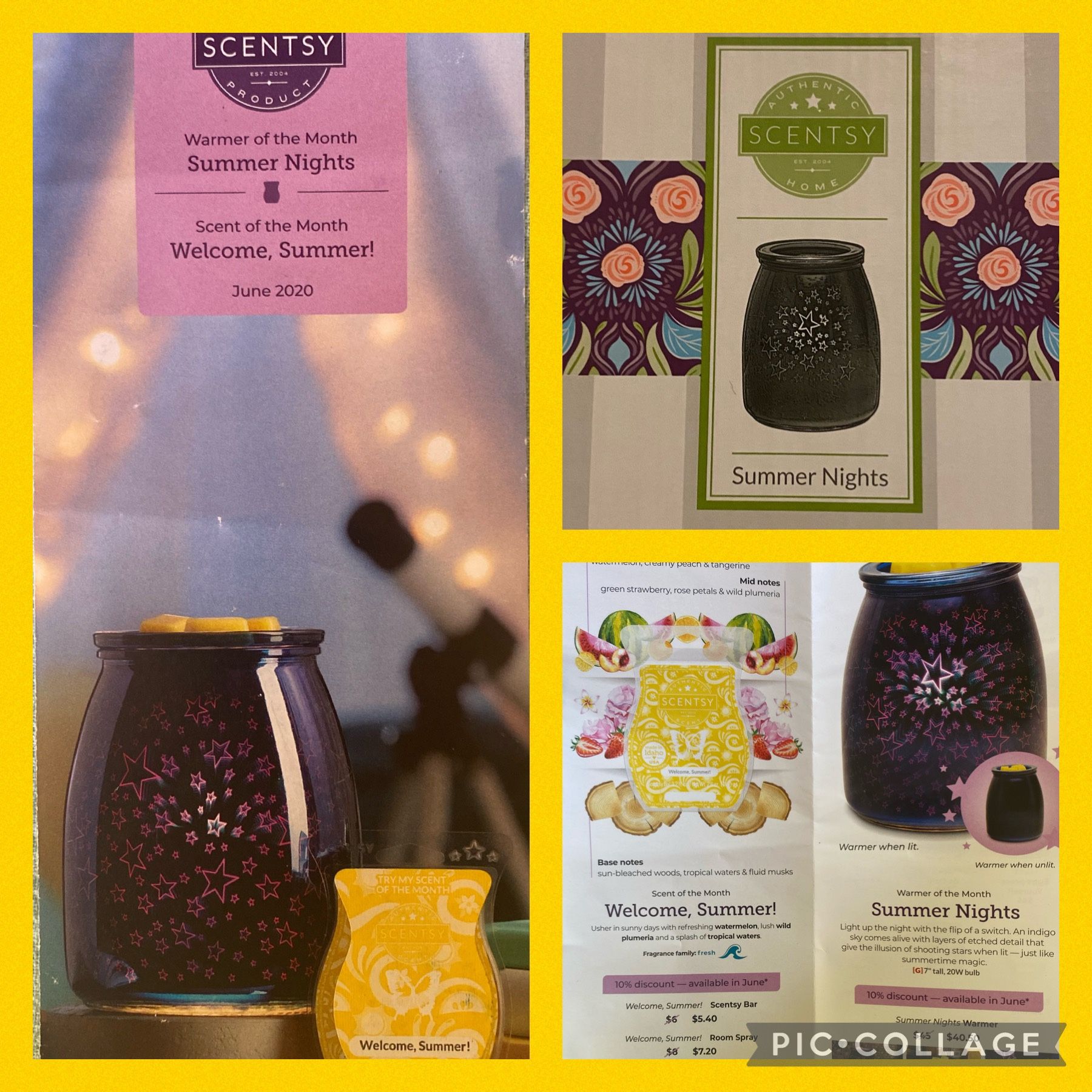 Scentsy Warmer - Summer Nights