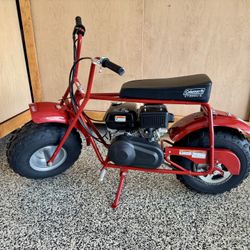 2019 Coleman Mini 