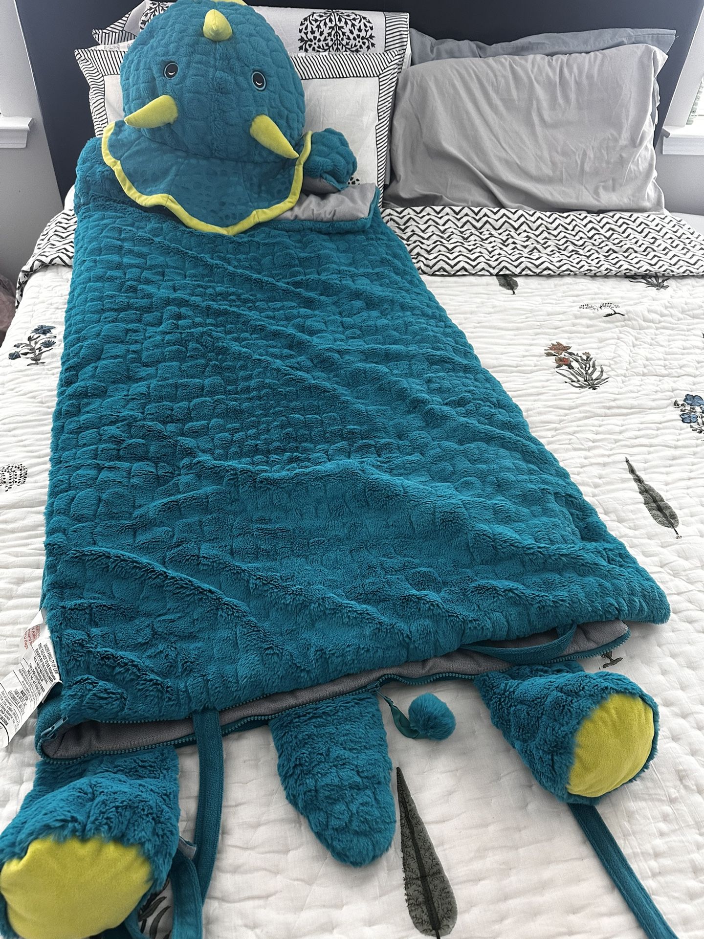 Sleeping Bag 