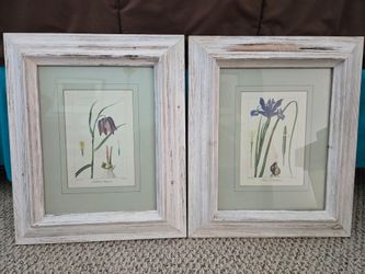 2 framed prints