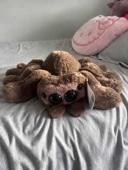 Build a Bear Jumping Spider