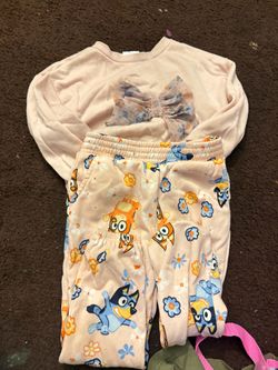 Bluey set