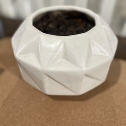 CB2 Tabletop Planter 