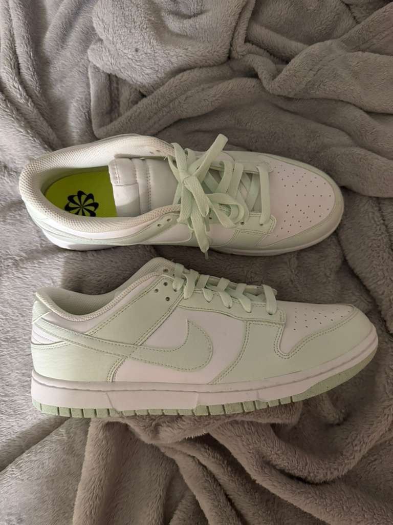 Nike Dunk Low Next Nature