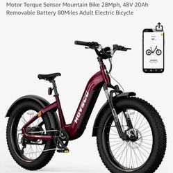 E Bike