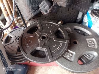 Olympic & standard weights, dumbbell, weight tree, bosu ball, pullup bar