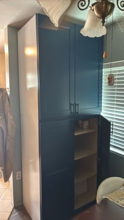 Pantry Cabinent brand new