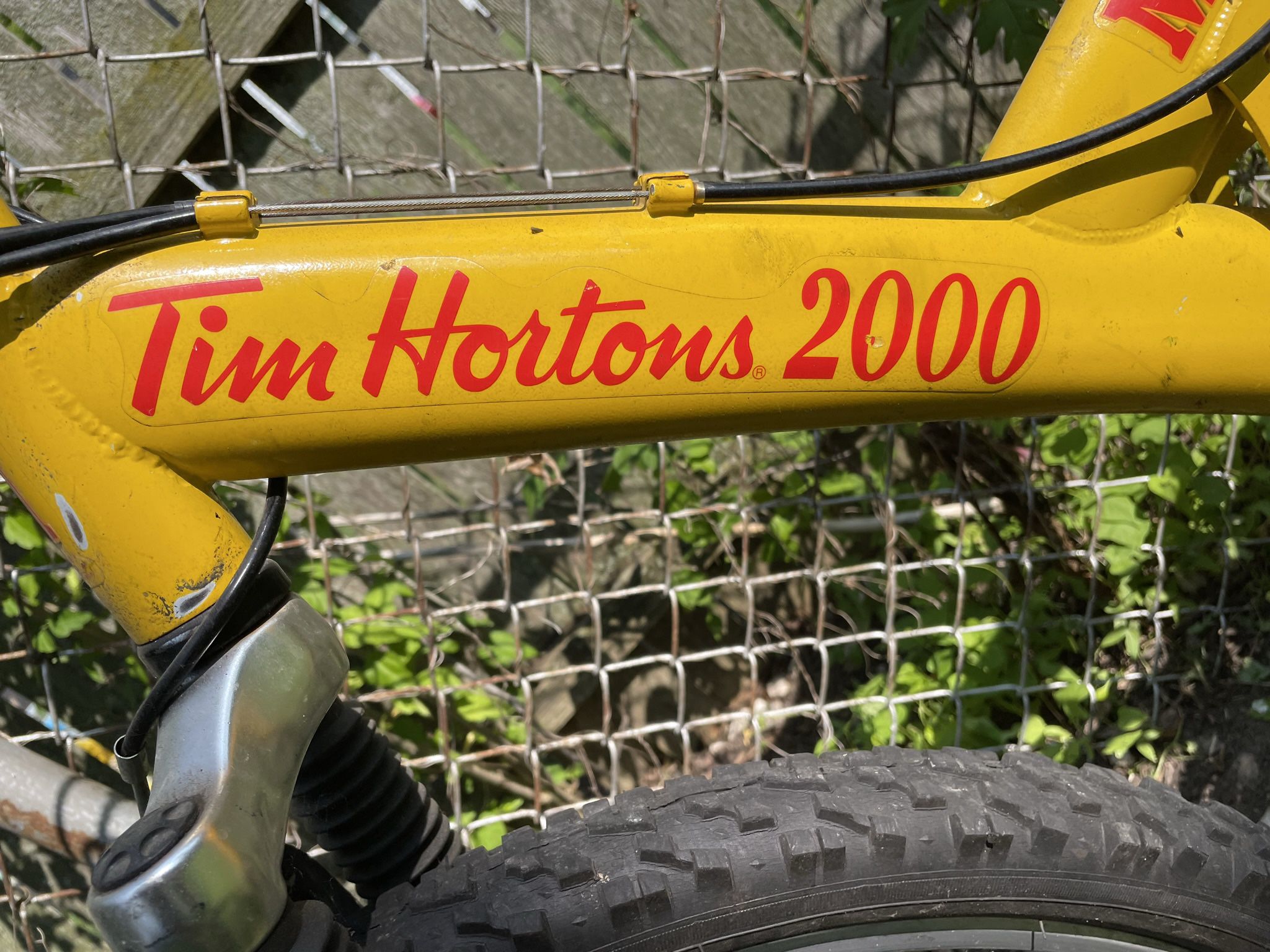 Minelli Mountain Bike - Tim Hortons edition yr 2000