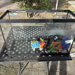 29 Gallon Aquarium  With Filter