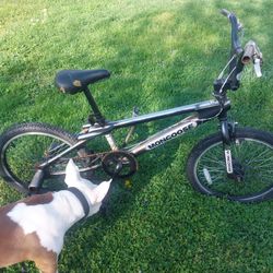 Mongoose 20 Inch 