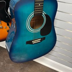 Delta Acoustic Guitar W4100BL 