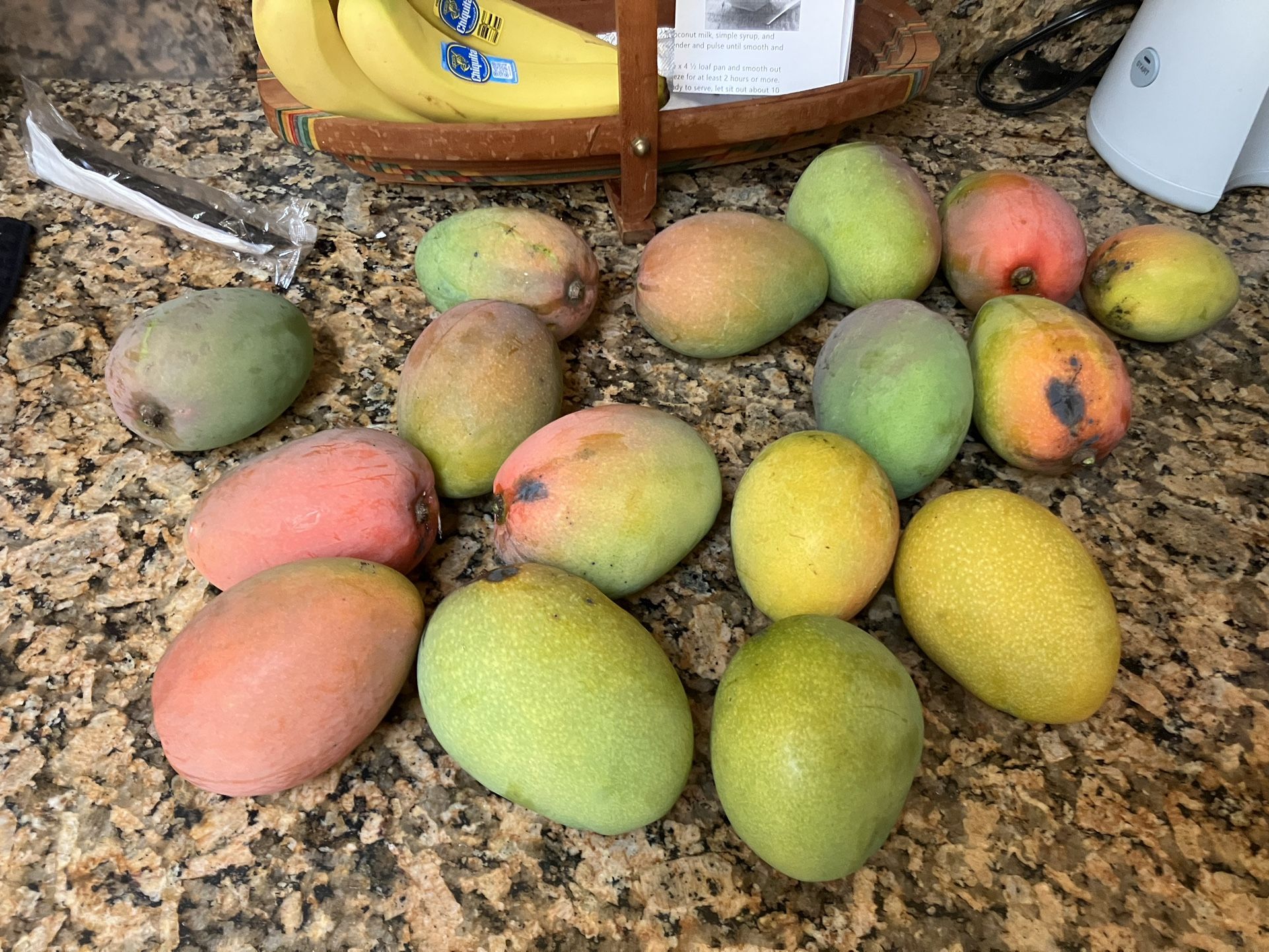 Mangoes-Carrie Variety -organic