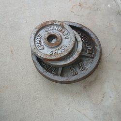 Weights/ Bench Press Curl Bar
