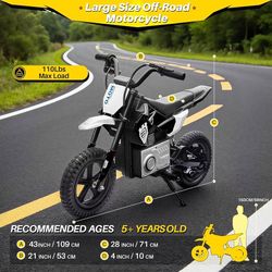 Blitzshark Motocicleta eléctrica de 24 V para niños, motor de 200 W, motocicleta eléctrica