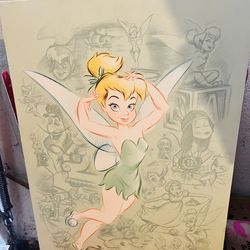 Tinkerbell Canvas 🧚‍♂️