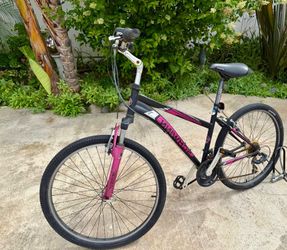 schwinn bike 26’